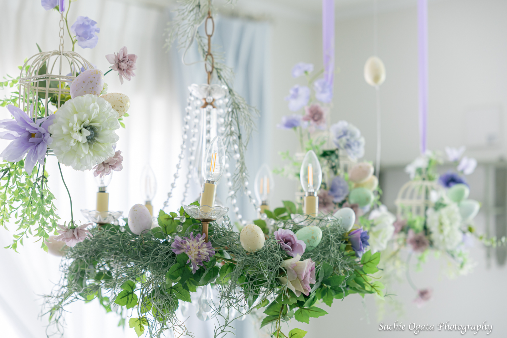 世界観プロデュース パステルスプリング