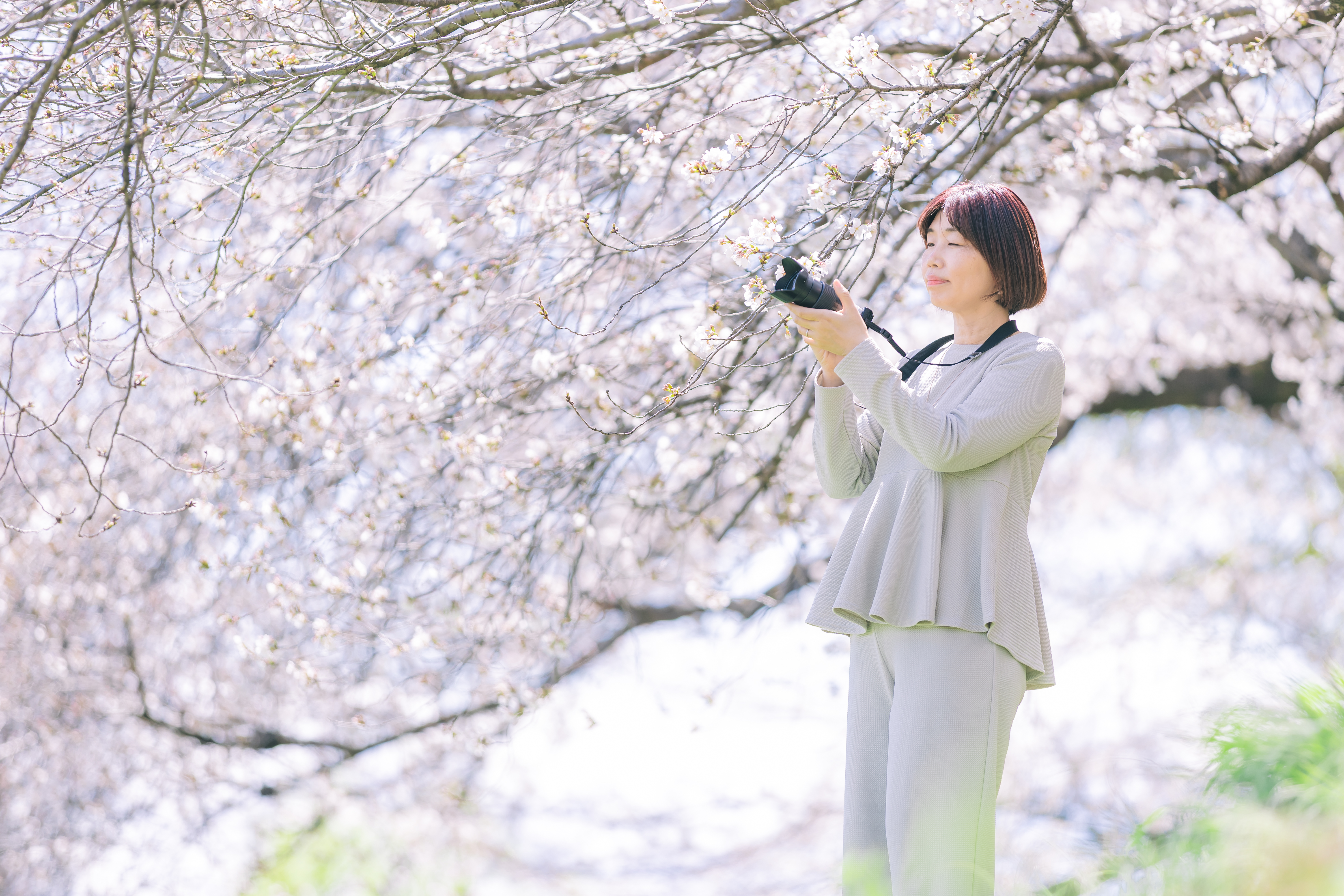 プロフィール撮影 桜